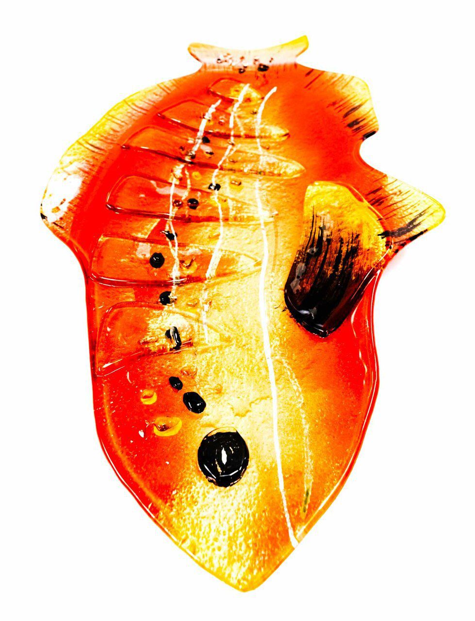 Eye contact - a view of the cranial of this pisces.