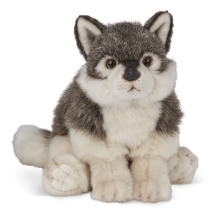 Nanook, the wild wolf of the Arctic, is a wolf on the alert for a new home with your child today.